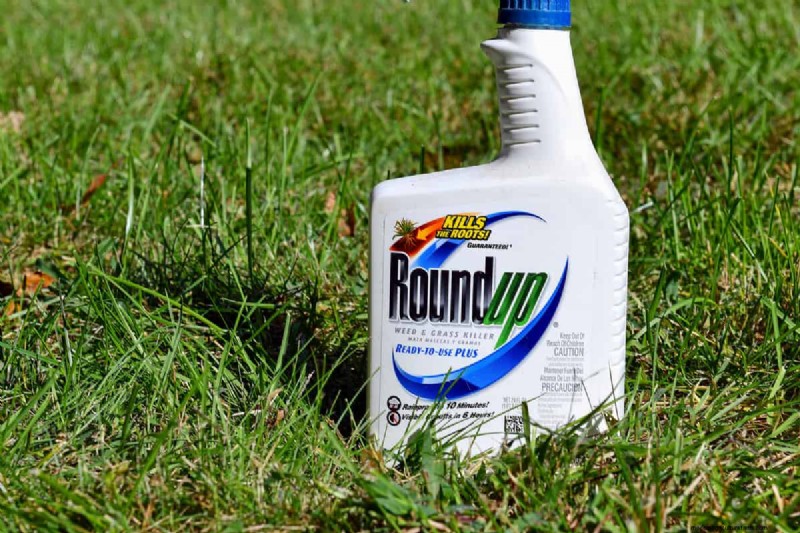Roundup Spread & Effectiveness: How Far Does it Travel?