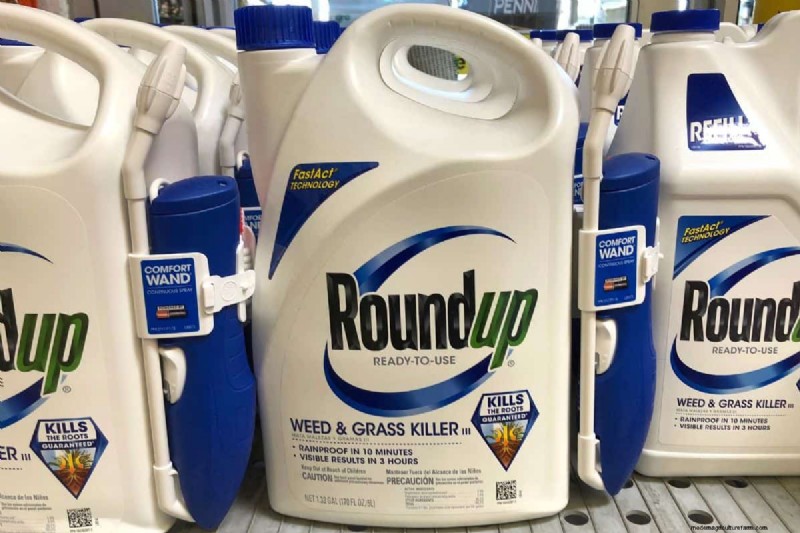 Roundup vs. Creeping Charlie: Does it Work?