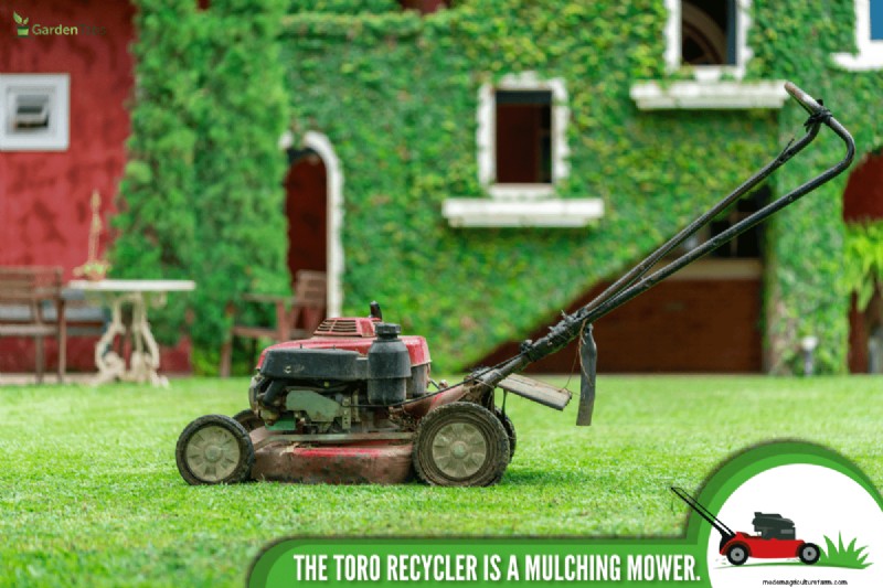 Toro Recycler: Does It Mulch? Features & Benefits