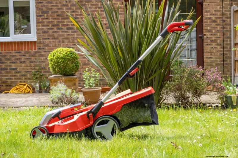 Toro Recycler: Does It Mulch? Features & Benefits