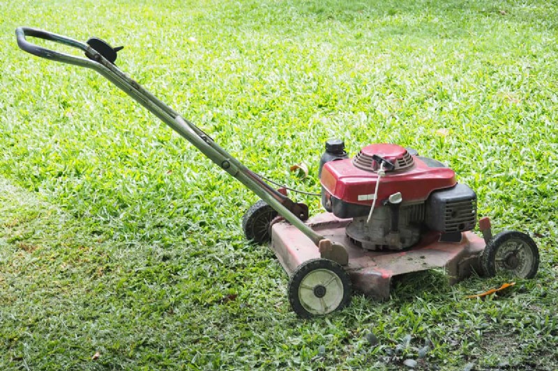 Toro Recycler: Does It Mulch? Features & Benefits