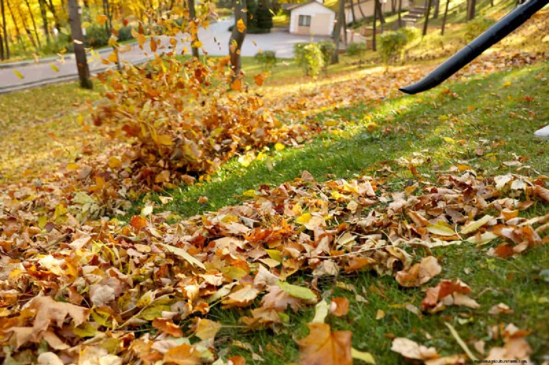 Black & Decker Leaf Blower Bag Attachment: A Simple Guide