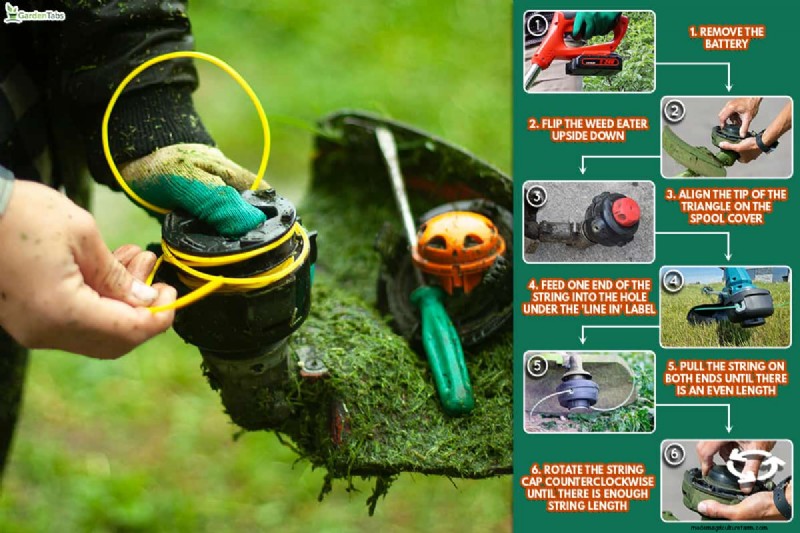 Kobalt Weed Eater String Replacement: A Step-by-Step Guide