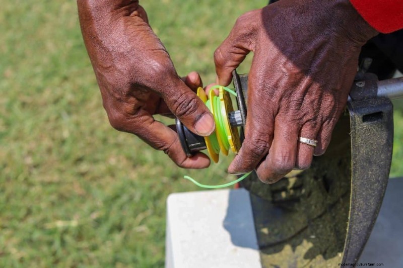 Kobalt Weed Eater String Replacement: A Step-by-Step Guide