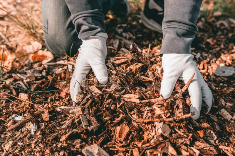Drip Irrigation: Above or Below Mulch? Best Practices Explained