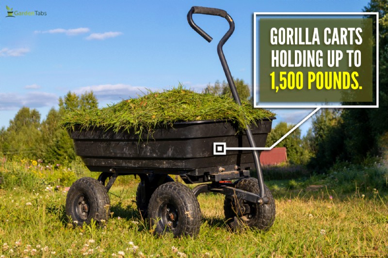 Gorilla Cart Weight Capacity: What Can It Haul?