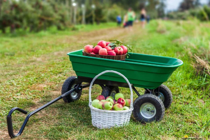 Gorilla Cart Weight Capacity: What Can It Haul?