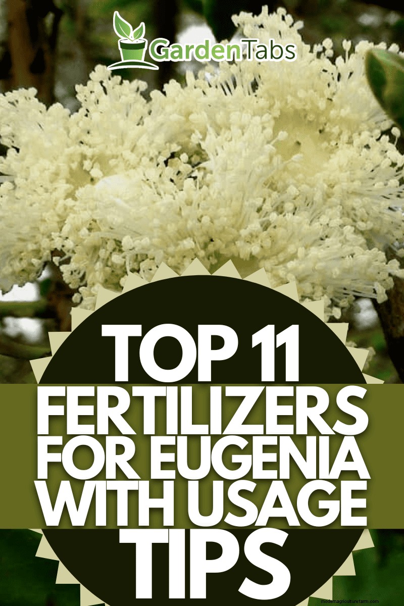 Best Fertilizers for Eugenia Trees: A Comprehensive Guide