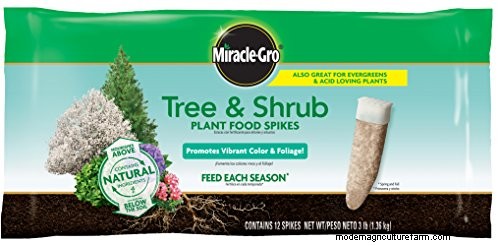 Best Fertilizers for Eugenia Trees: A Comprehensive Guide