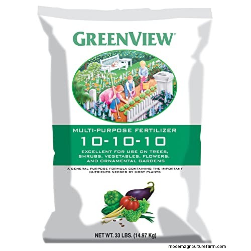 Best Fertilizers for Eugenia Trees: A Comprehensive Guide