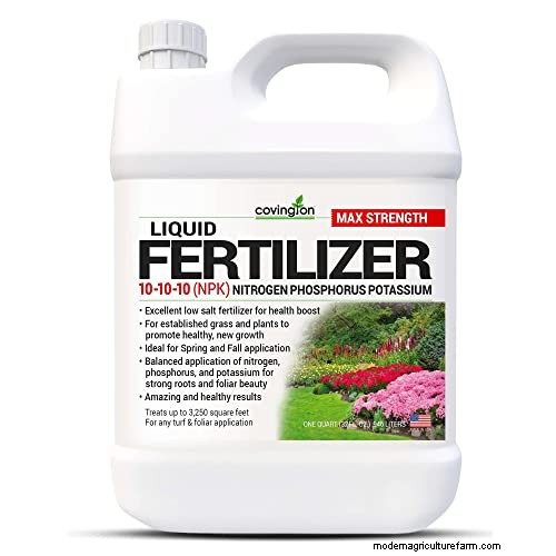 Best Fertilizers for Eugenia Trees: A Comprehensive Guide
