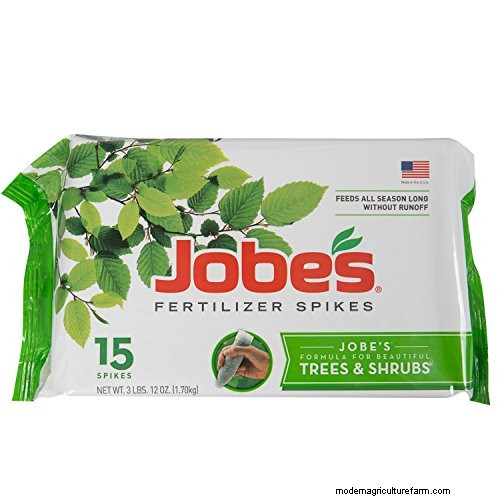 Best Fertilizers for Eugenia Trees: A Comprehensive Guide