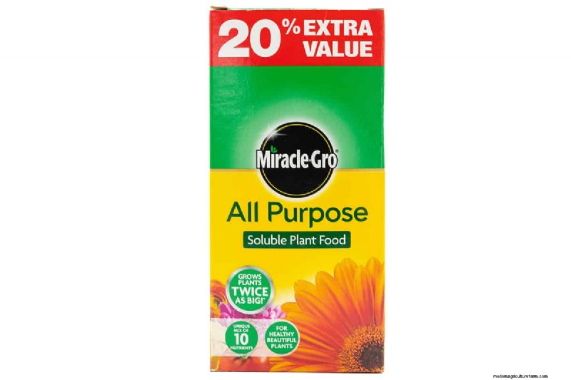 Best Fertilizers for Eugenia Trees: A Comprehensive Guide