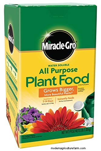 Best Fertilizers for Eugenia Trees: A Comprehensive Guide