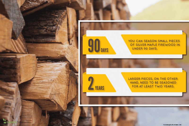 Silver Maple Firewood Seasoning Time: A Comprehensive Guide