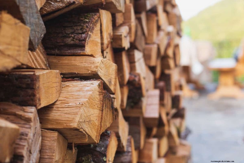 Silver Maple Firewood Seasoning Time: A Comprehensive Guide