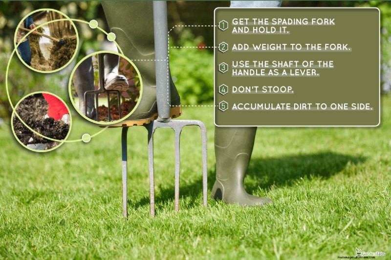 Mastering the Spading Fork: A Step-by-Step Gardening Guide