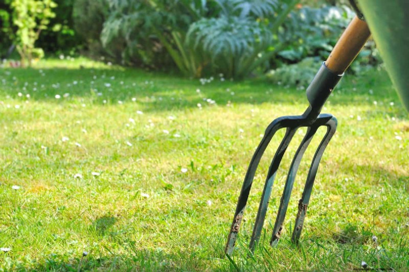 Mastering the Spading Fork: A Step-by-Step Gardening Guide