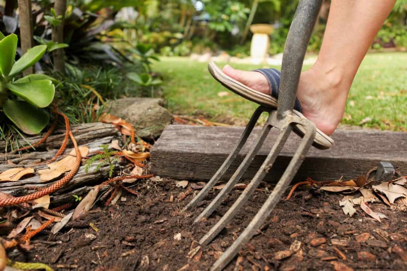 Mastering the Spading Fork: A Step-by-Step Gardening Guide