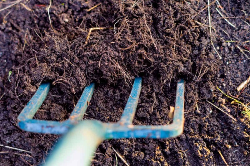Mastering the Spading Fork: A Step-by-Step Gardening Guide