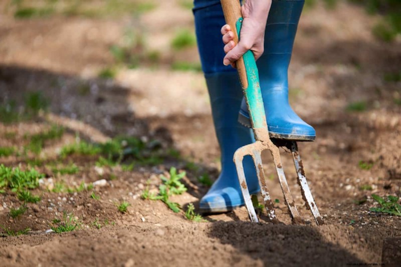 Mastering the Spading Fork: A Step-by-Step Gardening Guide