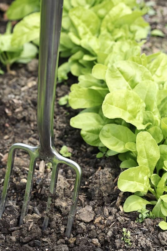 Mastering the Spading Fork: A Step-by-Step Gardening Guide
