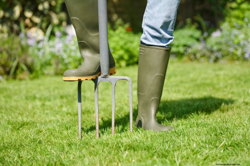 Mastering the Spading Fork: A Step-by-Step Gardening Guide