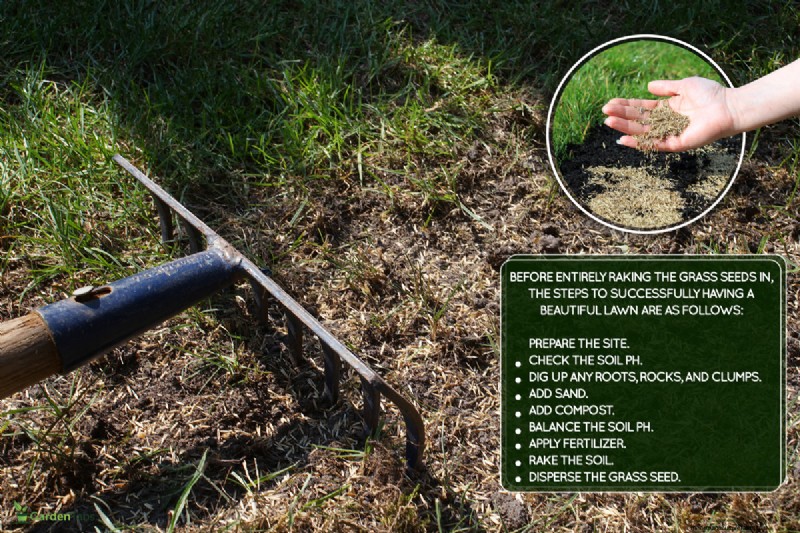 Expert Guide: How to Effectively Rake in Grass Seed for a Lush Lawn