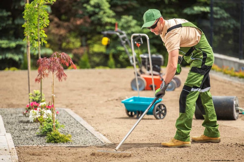Expert Guide: How to Effectively Rake in Grass Seed for a Lush Lawn