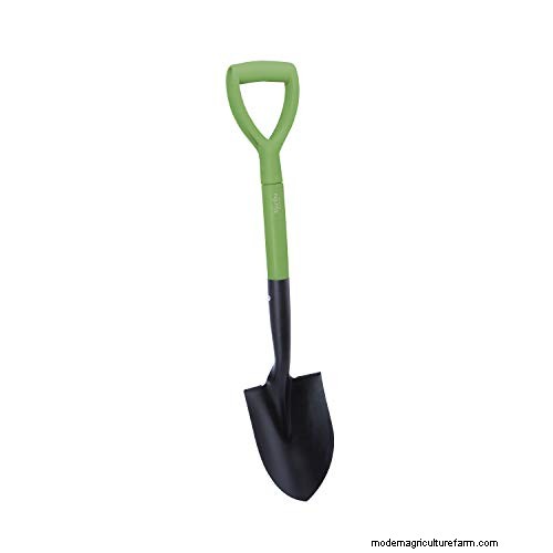 Expert Guide: How to Effectively Rake in Grass Seed for a Lush Lawn