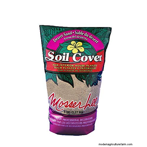 Expert Guide: How to Effectively Rake in Grass Seed for a Lush Lawn
