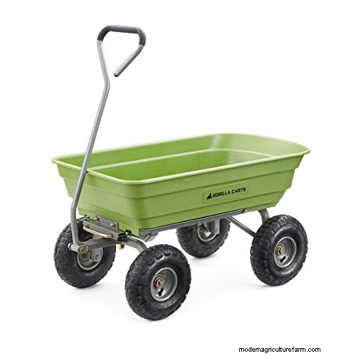 Expert Guide: How to Effectively Rake in Grass Seed for a Lush Lawn