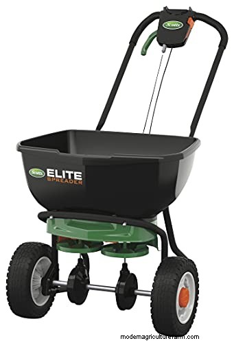 Expert Guide: How to Effectively Rake in Grass Seed for a Lush Lawn