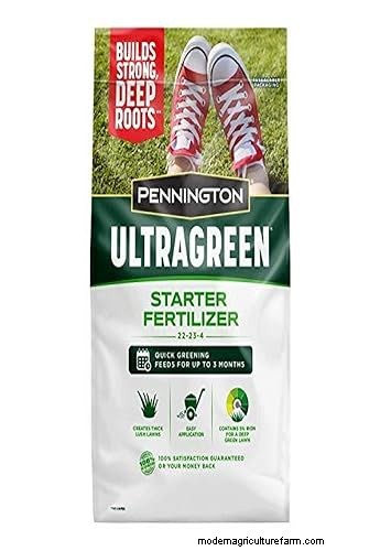 Expert Guide: How to Effectively Rake in Grass Seed for a Lush Lawn