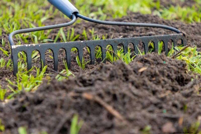 Expert Guide: How to Effectively Rake in Grass Seed for a Lush Lawn