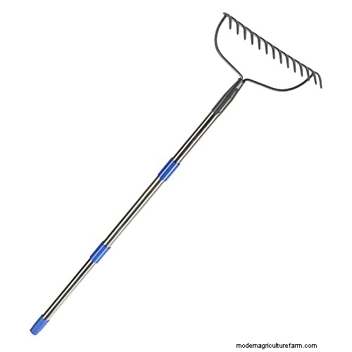 Expert Guide: How to Effectively Rake in Grass Seed for a Lush Lawn