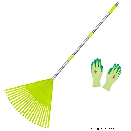 Expert Guide: How to Effectively Rake in Grass Seed for a Lush Lawn