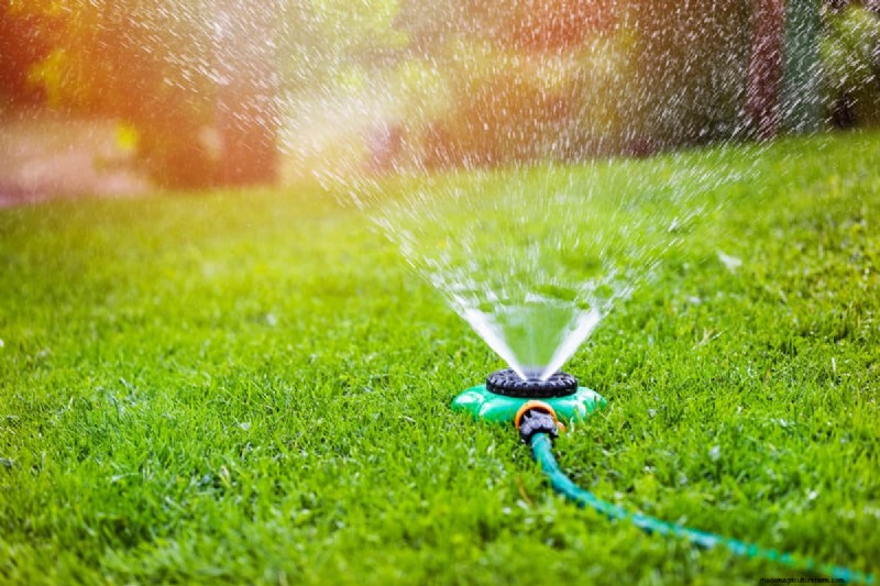 Expert Guide: How to Effectively Rake in Grass Seed for a Lush Lawn