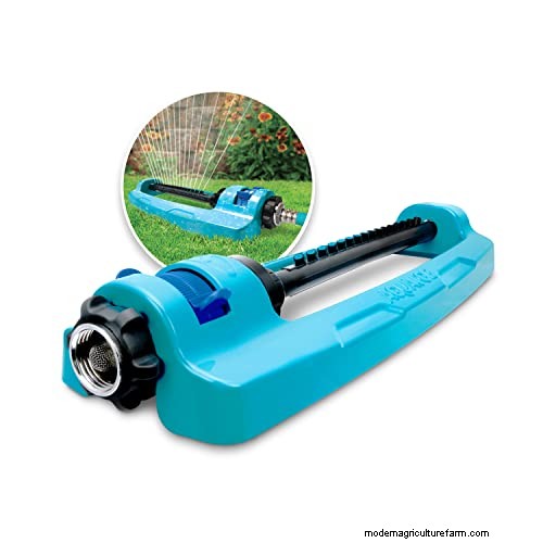 Expert Guide: How to Effectively Rake in Grass Seed for a Lush Lawn