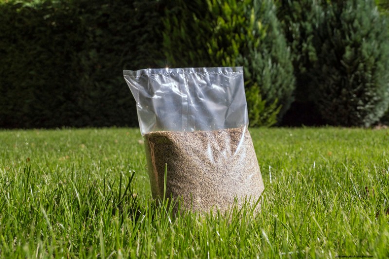 Expert Guide: How to Effectively Rake in Grass Seed for a Lush Lawn