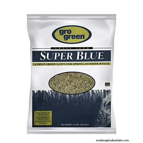 Expert Guide: How to Effectively Rake in Grass Seed for a Lush Lawn