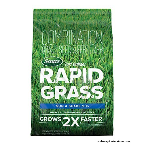Expert Guide: How to Effectively Rake in Grass Seed for a Lush Lawn