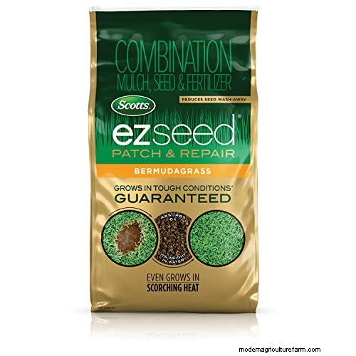 Expert Guide: How to Effectively Rake in Grass Seed for a Lush Lawn