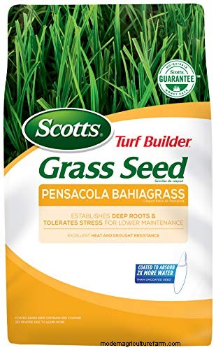 Expert Guide: How to Effectively Rake in Grass Seed for a Lush Lawn