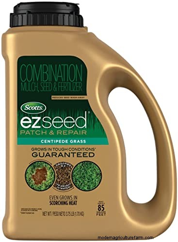 Expert Guide: How to Effectively Rake in Grass Seed for a Lush Lawn