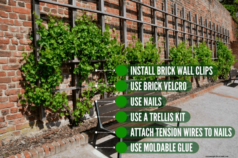No-Drill Trellis Mounting: Easy Wall Attachment Methods
