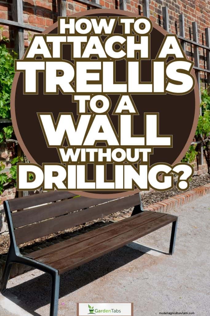 No-Drill Trellis Mounting: Easy Wall Attachment Methods