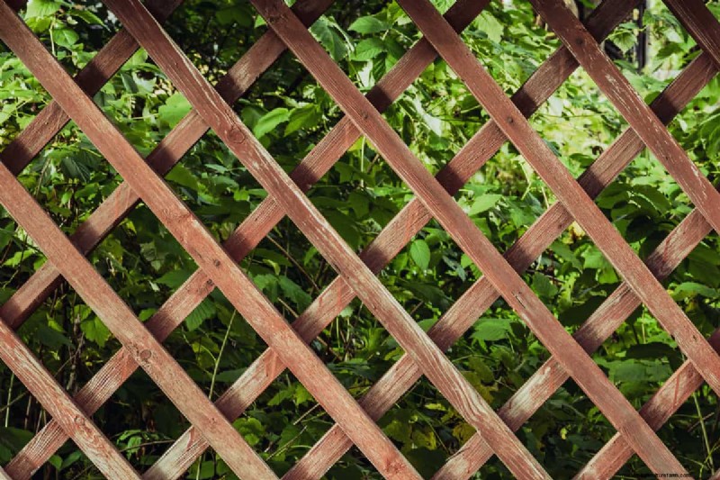 No-Drill Trellis Mounting: Easy Wall Attachment Methods