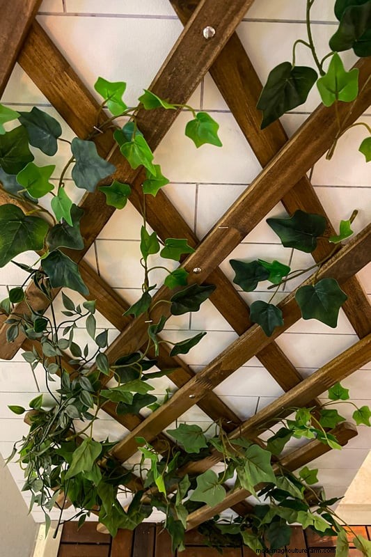No-Drill Trellis Mounting: Easy Wall Attachment Methods