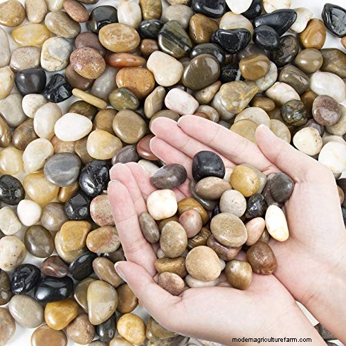 Mulch Bed Creation: A Step-by-Step Guide for Healthy Plants
